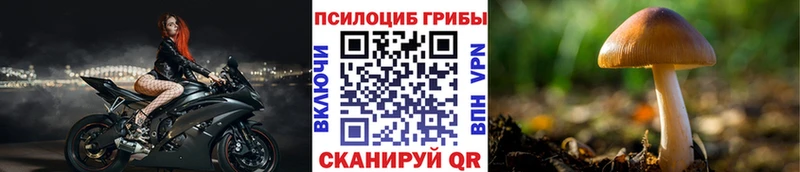 Псилоцибиновые грибы Psilocybe  Спасск-Дальний 